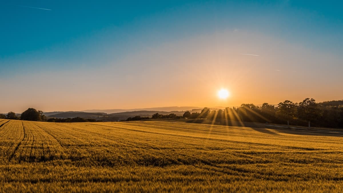 Эко-квартал Green Horizon — фото 1
